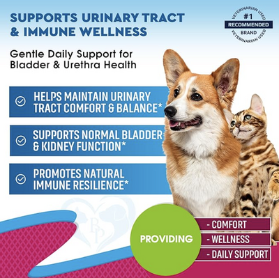 Cat UTI Drops