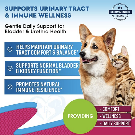 Cat UTI Drops