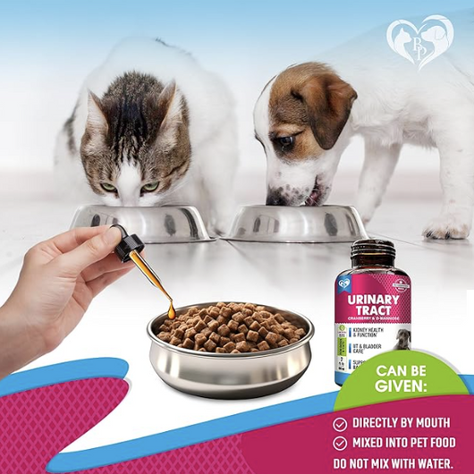 Cat UTI Drops