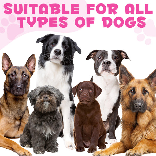World's Most Powerful Dog Support